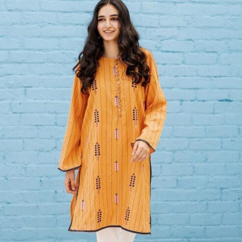 Embroidered textured cotton pret with button and loops, fully embroidered front and embroidered border on front slits and hem and sleeves.