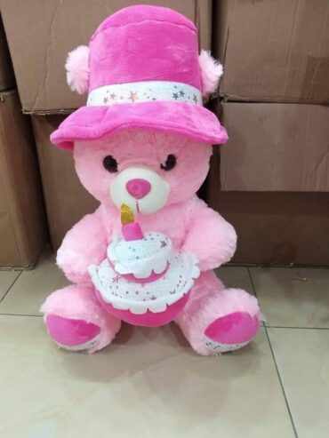 Teddy bear for kid gift