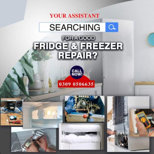 Fridge and freezer reapir