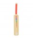 Asaan Sports Plastic Bat for Kids (for 4-5 year kids and 25 Inch Length)